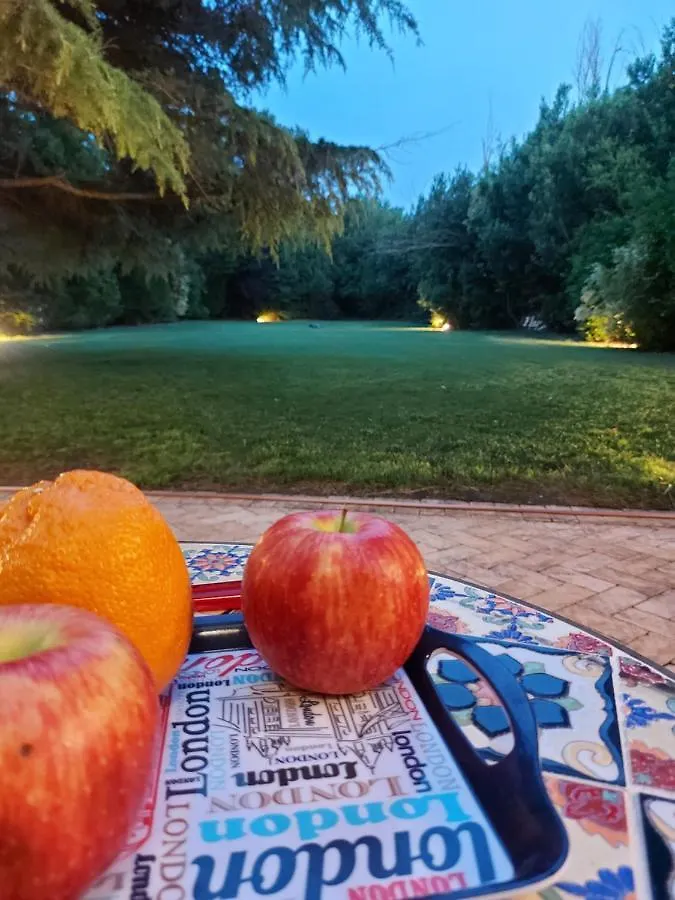 Holiday home Hebe Home Riccione Misano Adriatico